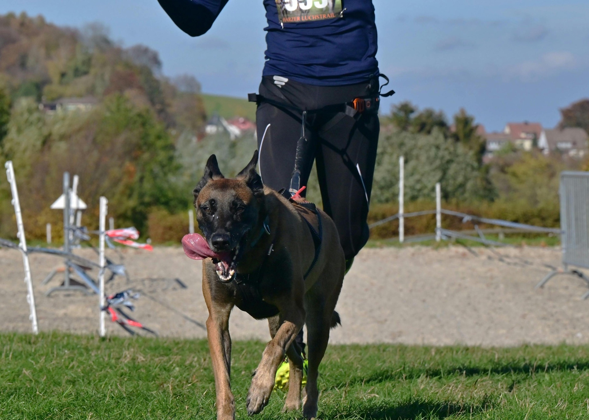 Owner running outdoors with an active dog