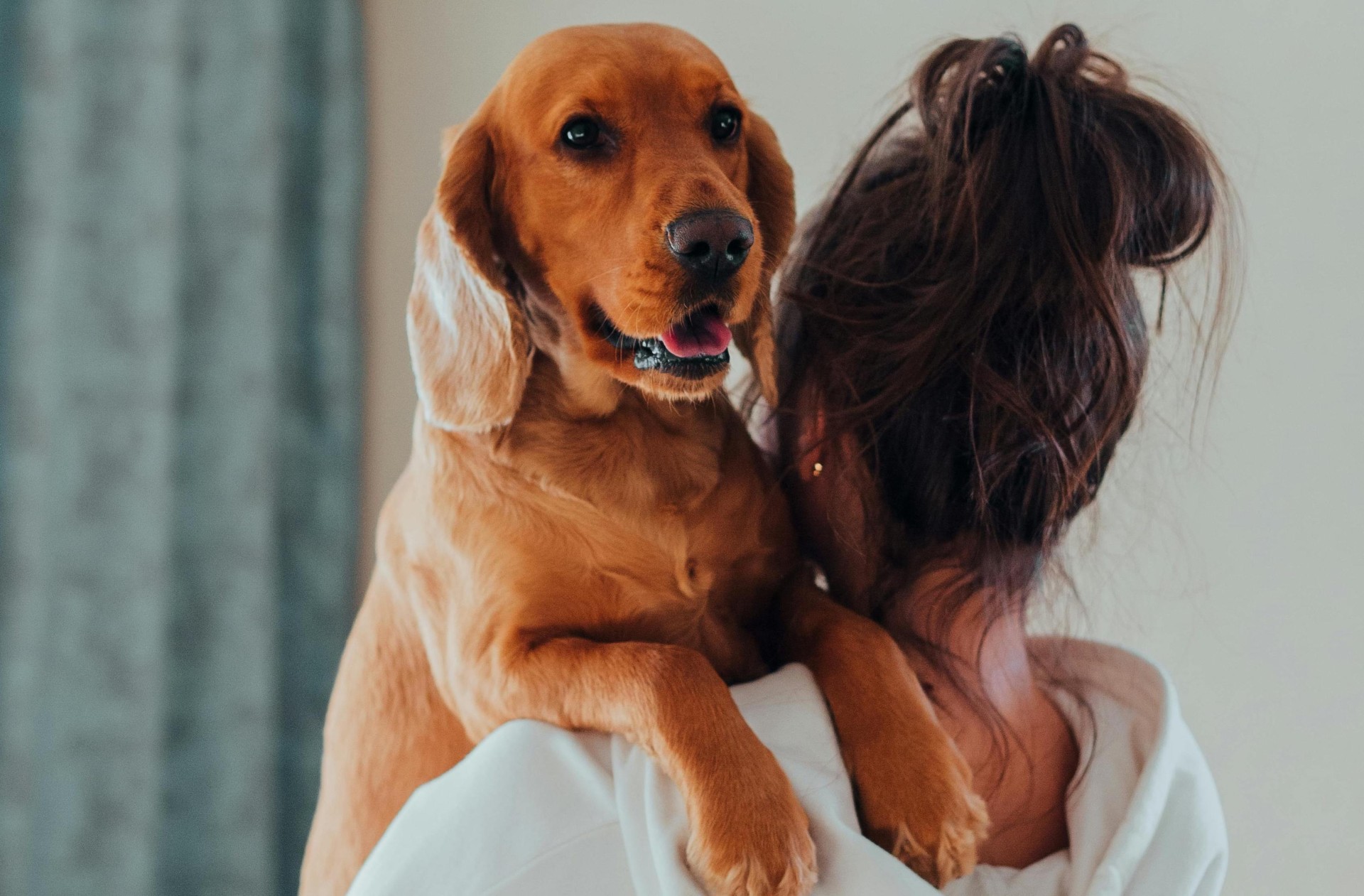 Owner hugging her dog at home